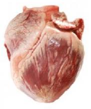Сердце свиное